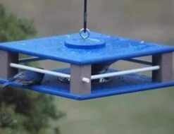 Gilbertson Hanging Bluebird Feeder 9 Gilbertson Hanging Bluebird Feeder -Koziol Houses Shop hanging bluebird feeder