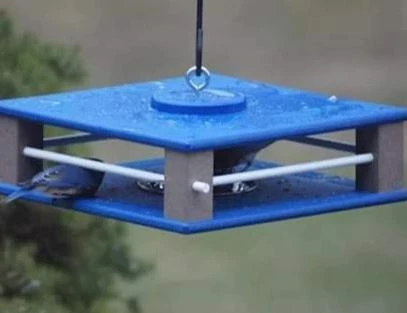 Gilbertson Hanging Bluebird Feeder 6 Gilbertson Hanging Bluebird Feeder - Image 4