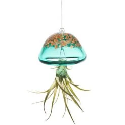 Jellyfish Air Plant Hangers Set/3 -Koziol Houses Shop jellyfish air plant hanger green