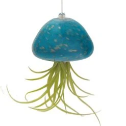Jellyfish Air Plant Hangers Set/3 -Koziol Houses Shop jellyfish air plant hanger teal