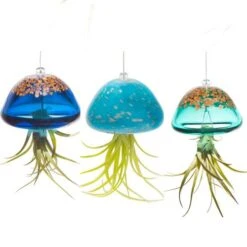 Jellyfish Air Plant Hangers Set/3