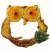 Big Owl Bird Seed Treat-Grapevine Form 1 Big Owl Bird Seed Treat-Grapevine Form -Koziol Houses Shop jpeg