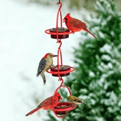 Orb Mealworm & Multi-Use Bird Feeder 7 Orb Mealworm & Multi-Use Bird Feeder -Koziol Houses Shop orb bird feeder 3 shown