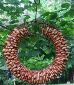 Whole Peanut Wreath Feeder -Koziol Houses Shop peanut wreath feeder 0c398828 15c0 4b24 8b84 da876e874a9e