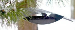 ESSCHERT DESIGN Mod Bird Feeder- Flight -Koziol Houses Shop seedfeeder light photojpg