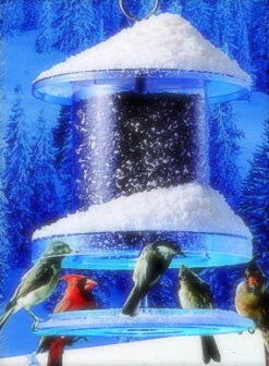 Songbird All-Weather Feeder 4 Or 6 Qt. 11 Songbird All-Weather Feeder 4 Or 6 Qt. -Koziol Houses Shop snow 20all 20weather