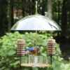 Super Dome Bird Feeder -Koziol Houses Shop super dome bird feeder