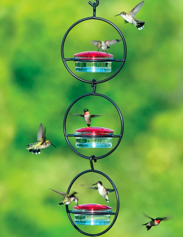 Triple Orb Glass Hummingbird Feeder 3 Triple Orb Glass Hummingbird Feeder